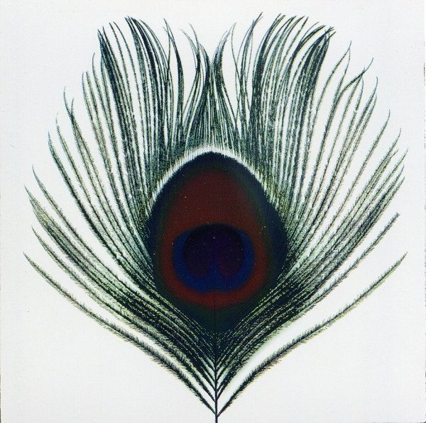 XTC: Apple Venus Volume 1 (1999)